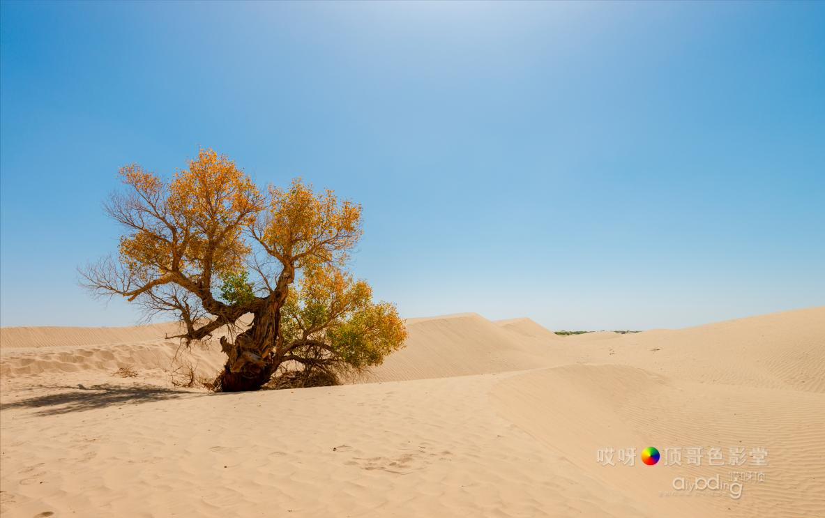 女司机带娃去新疆自驾游,带着女司机自驾游兰州