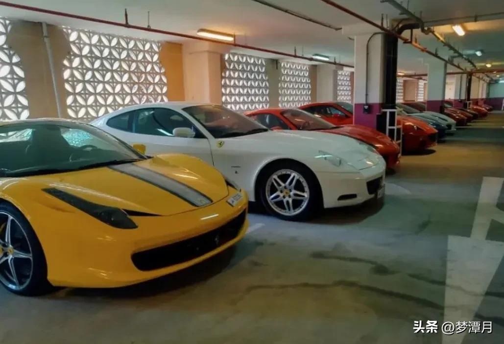 关于卡塔尔的“冷知识”,卡塔尔不得不知的30件事