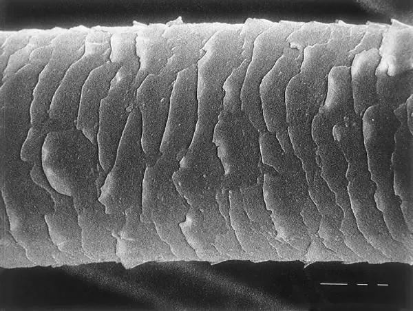 干枯毛躁的头发用什么护发,头发干枯毛躁头油多用什么护发素