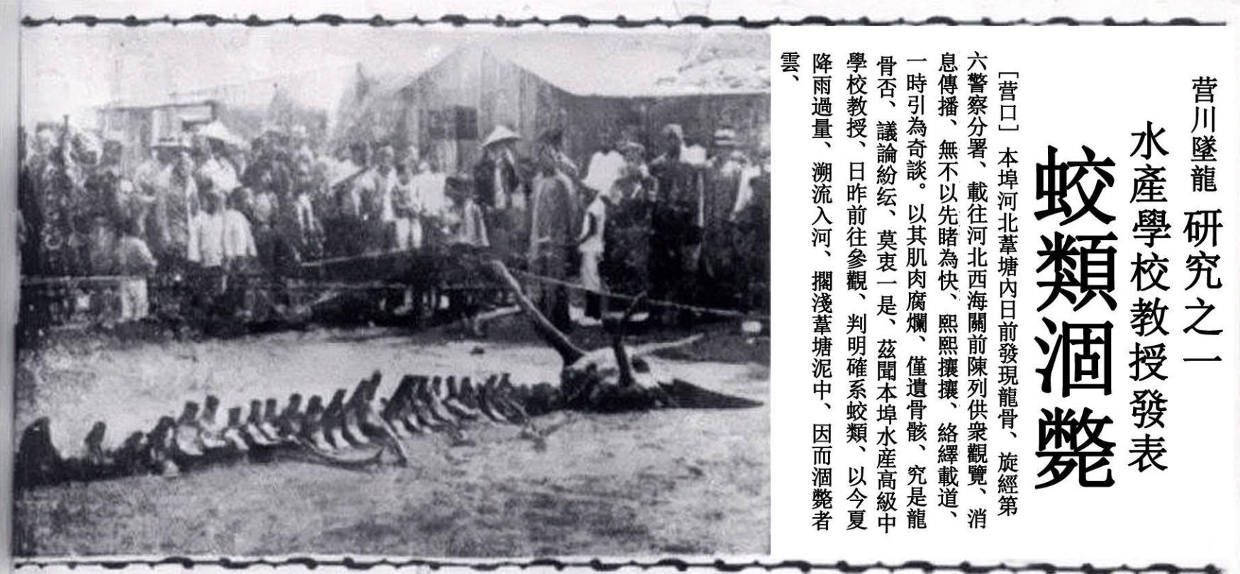 三星堆青铜真伪鉴别,三星堆新发现的青铜器材图片大全