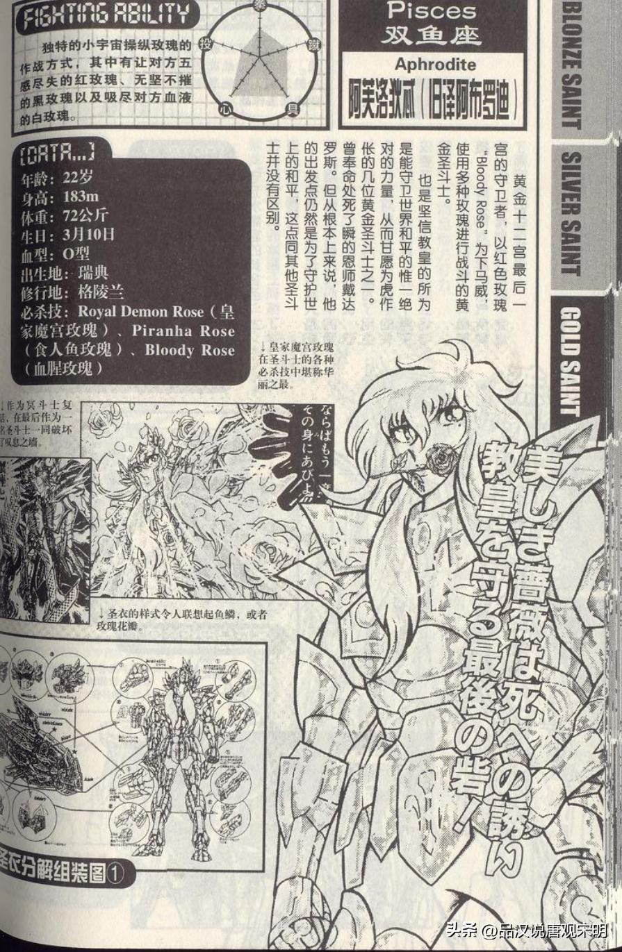 万字深度解读,万字全面解析