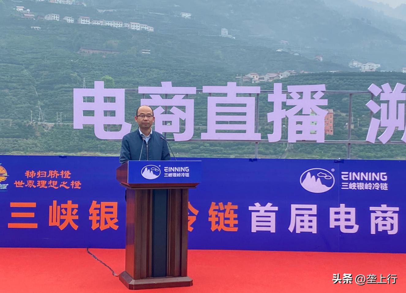 朱梓骁直播的秭归橙,朱梓骁直播助播