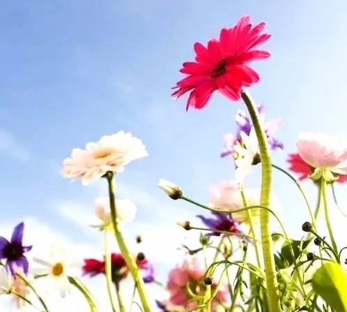 六年级数学复习（2）