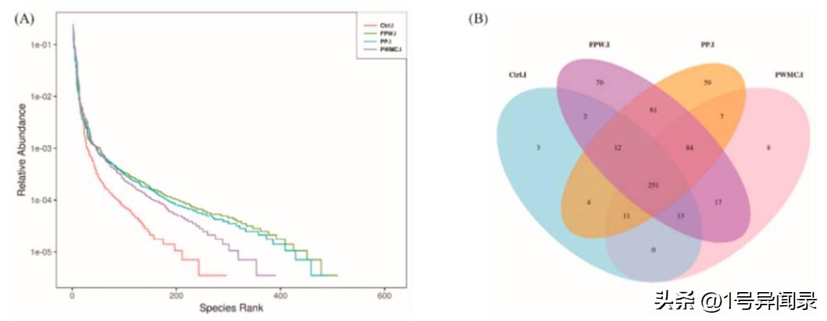 揭示用紫菇废菌堆肥产物作为补充剂对肉鸡肠道微生物、抗炎的影响