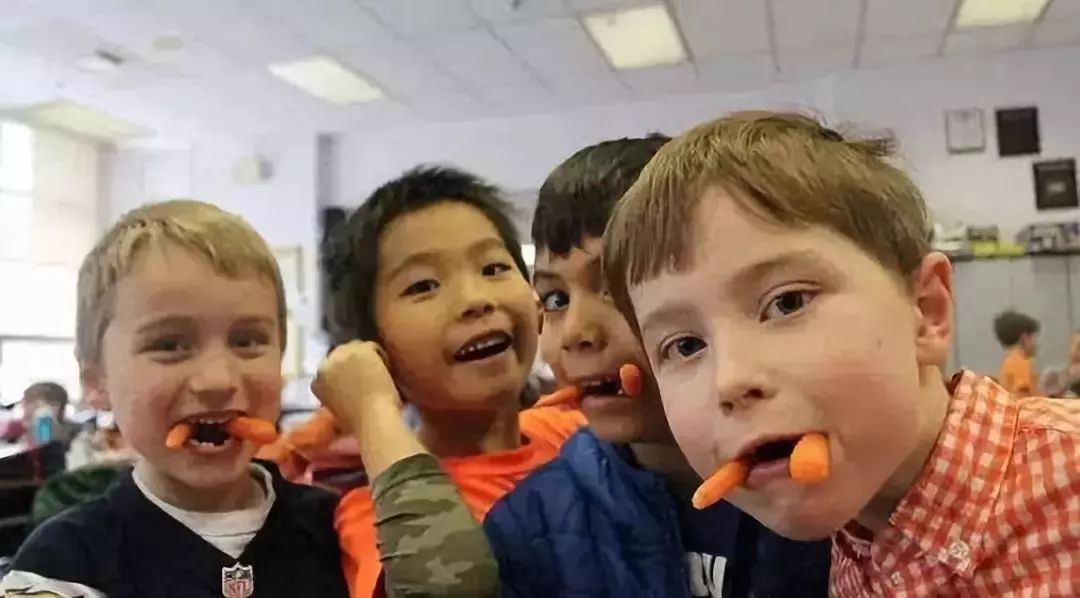 农庄案例：一个关于胡萝卜的传奇故事