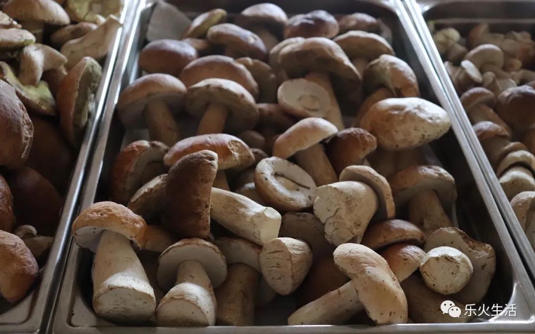 上海开业10个月获米其林餐厅,巴黎开业20年的米其林三星餐厅