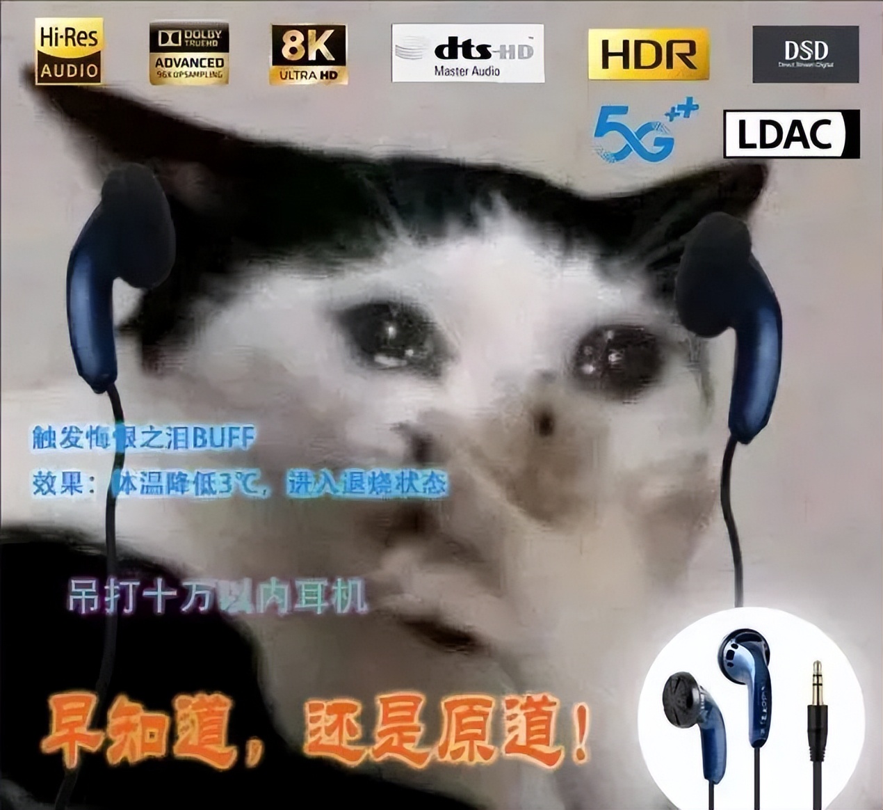 9.9的原道和20块的原道音质一样吗,原道9.9耳机音质真的好吗