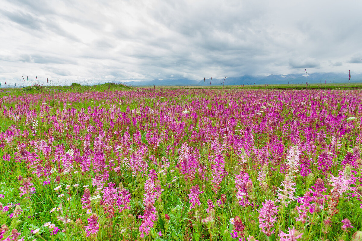 “狠”到“点子上”的女人，不吼不骂不怨赢到最后