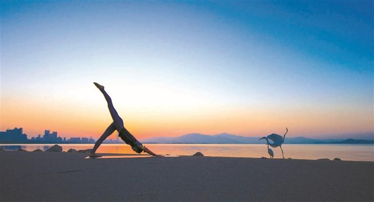 六五环境日2023年宣传活动的通知,2023年六五环境日主题名称