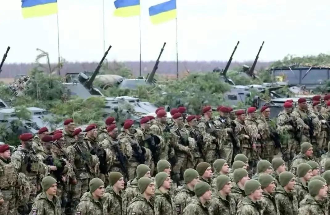 俄军为何不在冲突之初就“狮子搏兔”打下乌克兰?