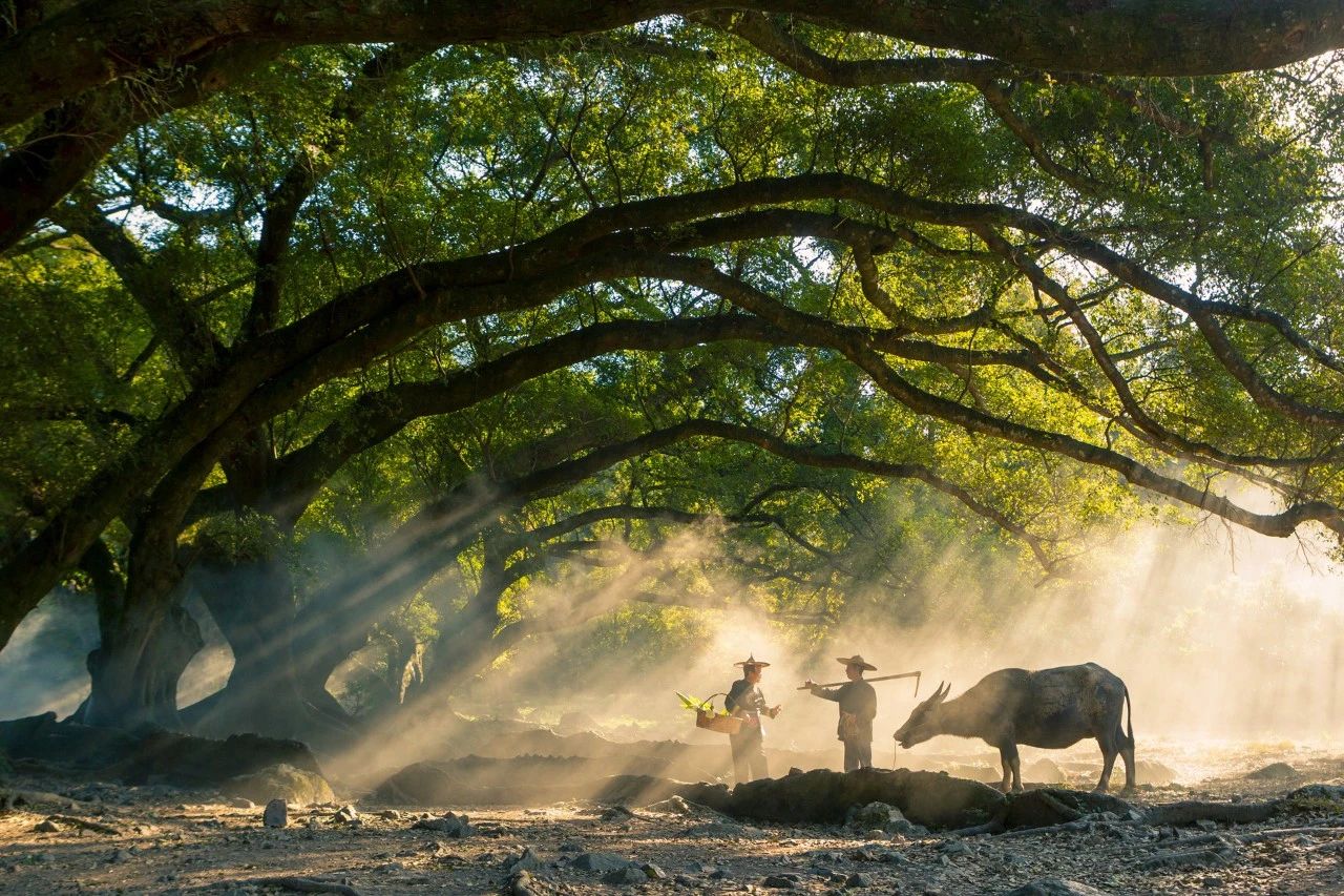 杜甫最经典的一句诗,杜甫最经典的100句诗词