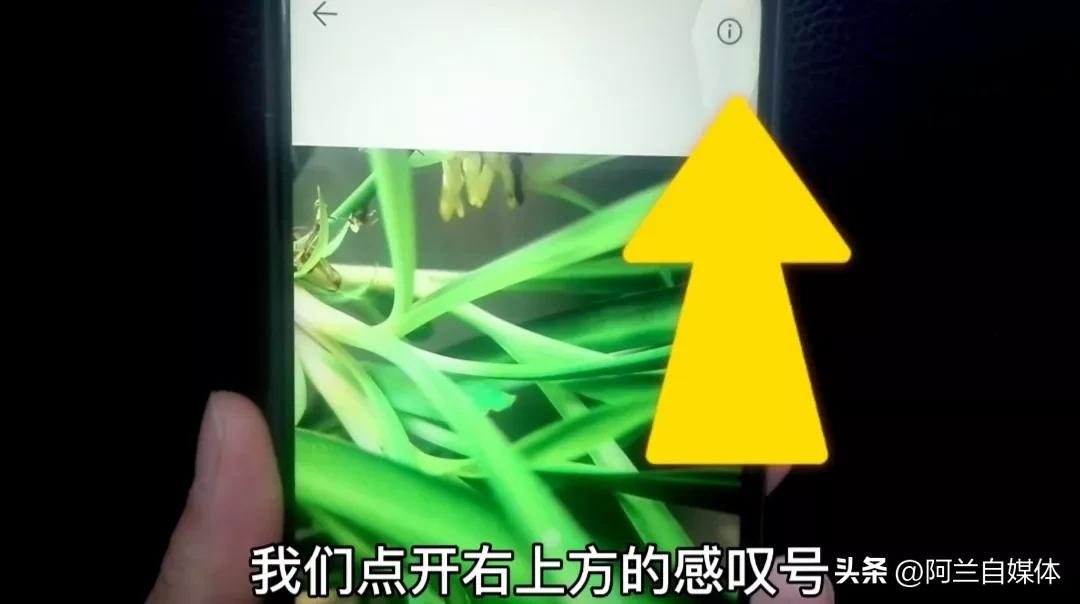 发微信原图会泄露个人隐私,微信发原图会泄露信息