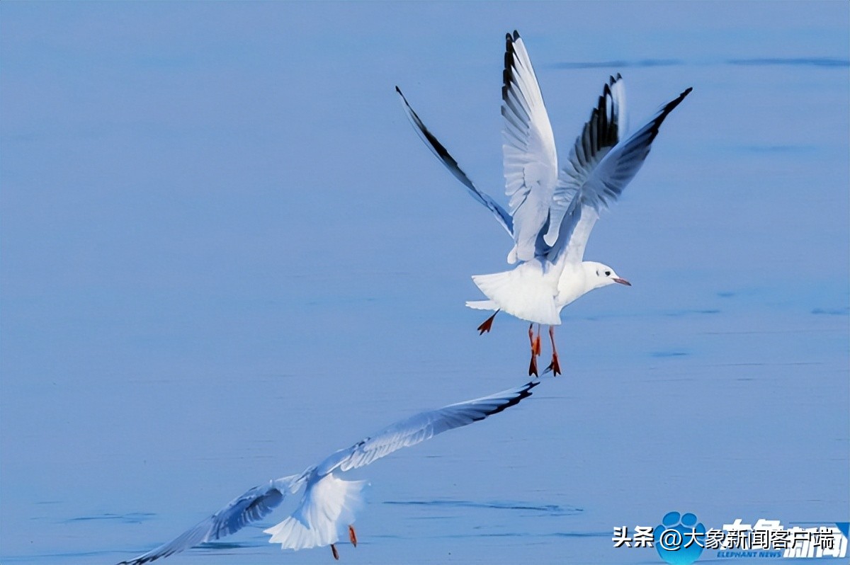 河南省黄河迎宾馆雪景,洛阳春来花似锦