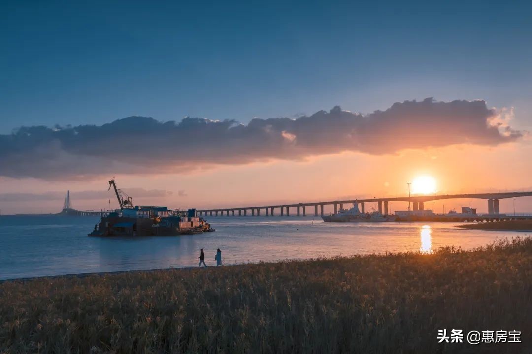 上海公园免费,上海免费公园排行