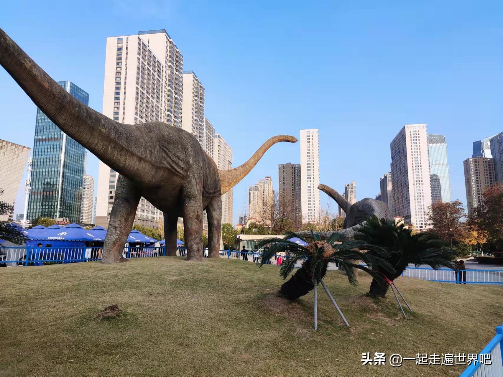 合肥6天5晚旅游攻略,合肥北京五日游最佳路线攻略