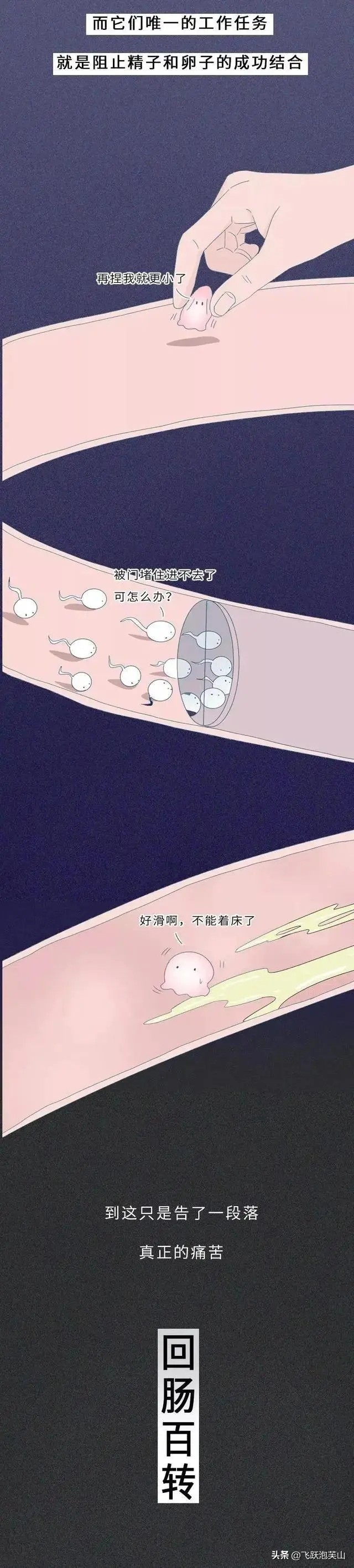 节育器科普漫画,节育环动画科普