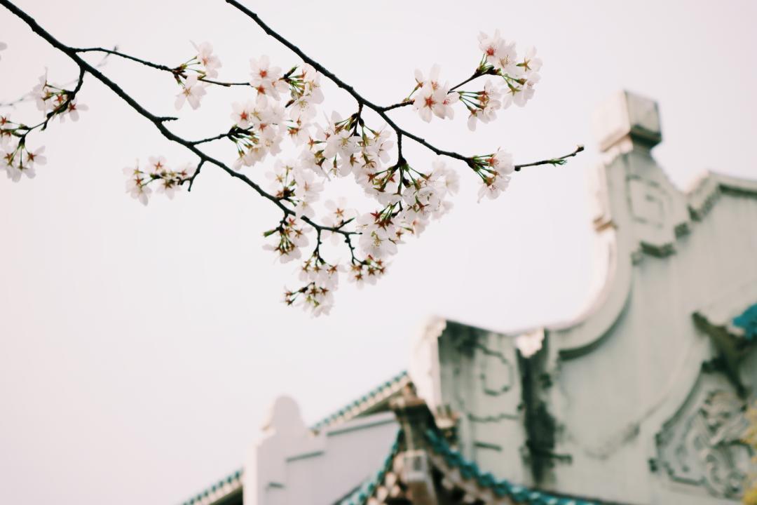 中国最美的大学无数人向往的地方,世界最美的大学校园