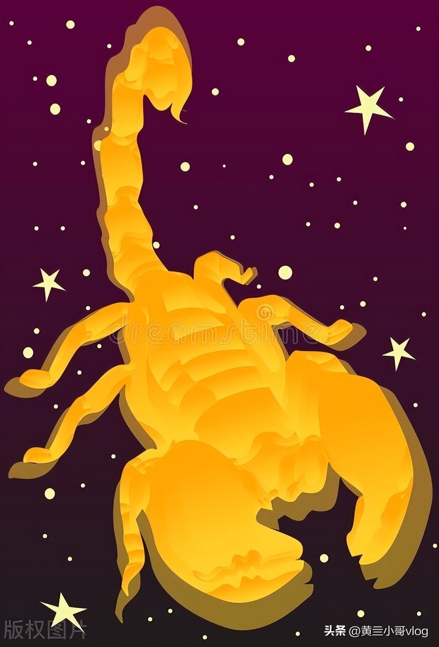 十二星座之王射手座,十二星座之天蝎座