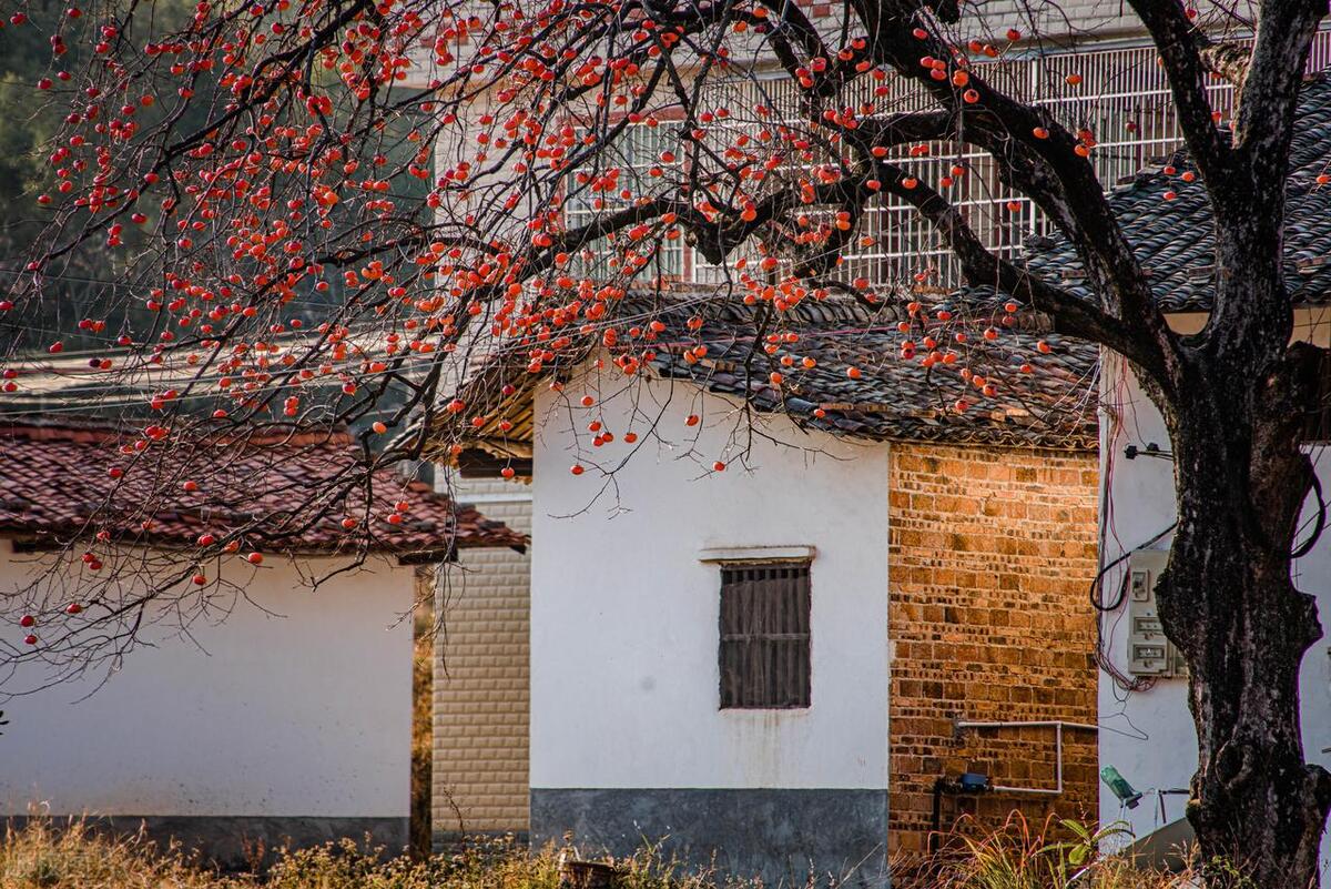 重庆银行抵押贷款,重庆抵押房产贷款最多能贷多少年