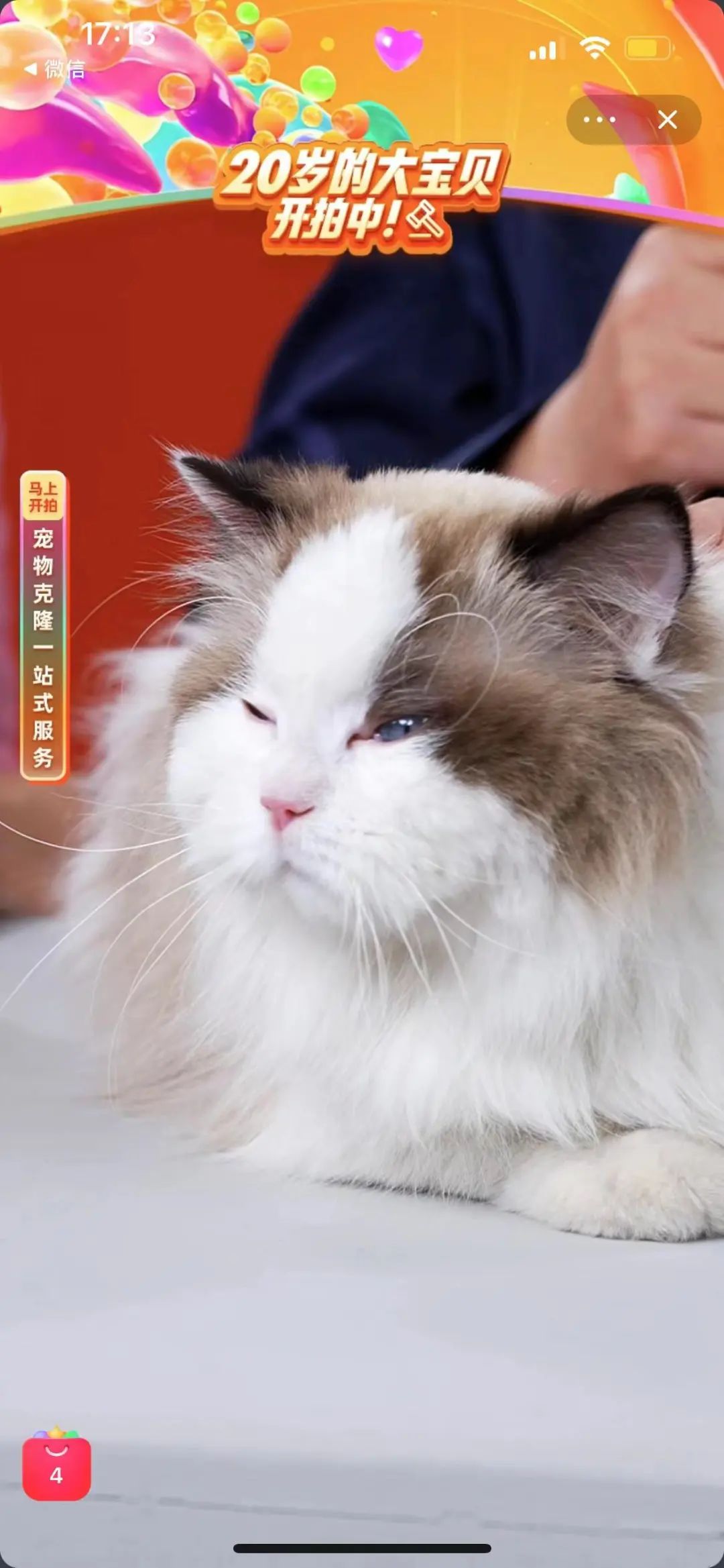 淘宝拍卖会的东西是真的吗,淘宝上的拍卖东西靠谱吗