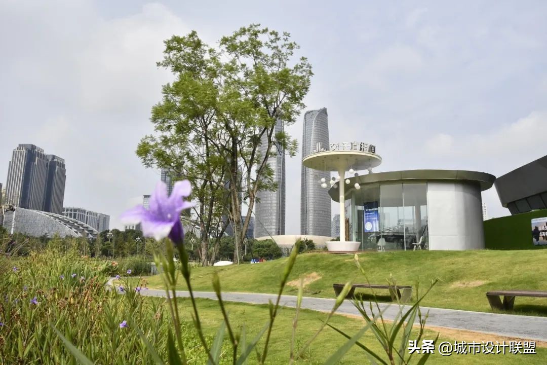 成都值得一游的公园,夏季成都宝藏公园