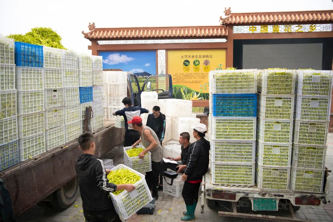 迎接党的20大美术作品,喜迎二十大乡村摄影展