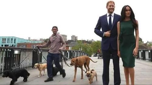 怀孕后养宠物的危害有哪些,孕早期养宠物有哪些危害