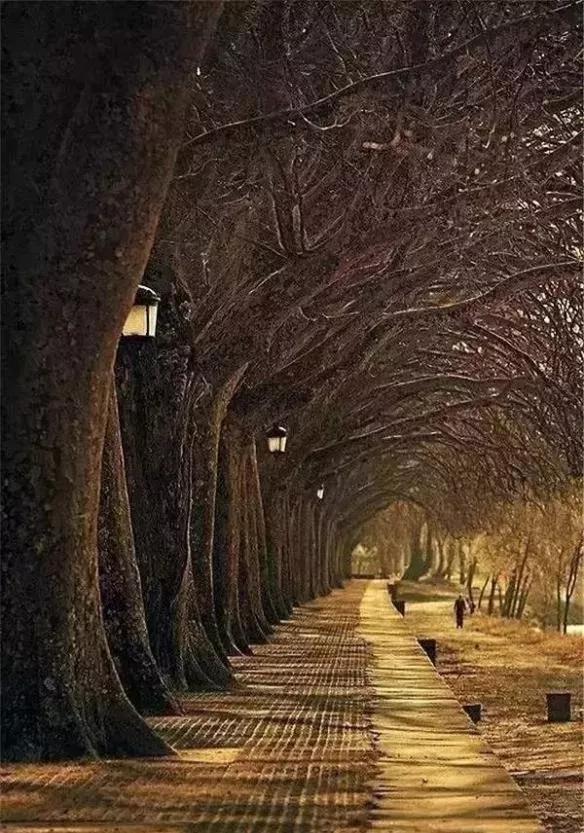 100个大自然奇观图片,世界50大自然奇观排名