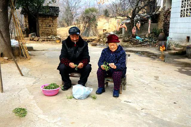 2022非转农业户口需要哪些条件,非转农户口需要哪些手续