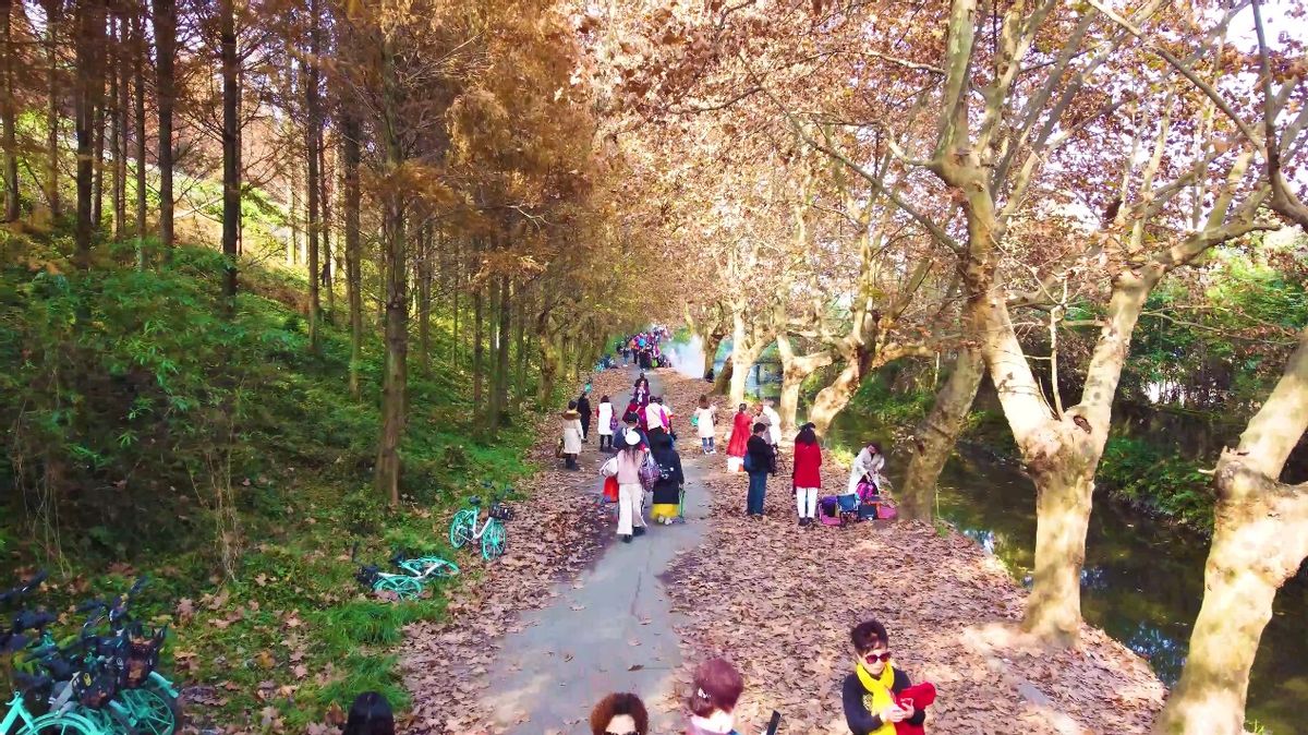 成都周边游最佳景点街子古镇,都江堰附近的旅游景点推荐