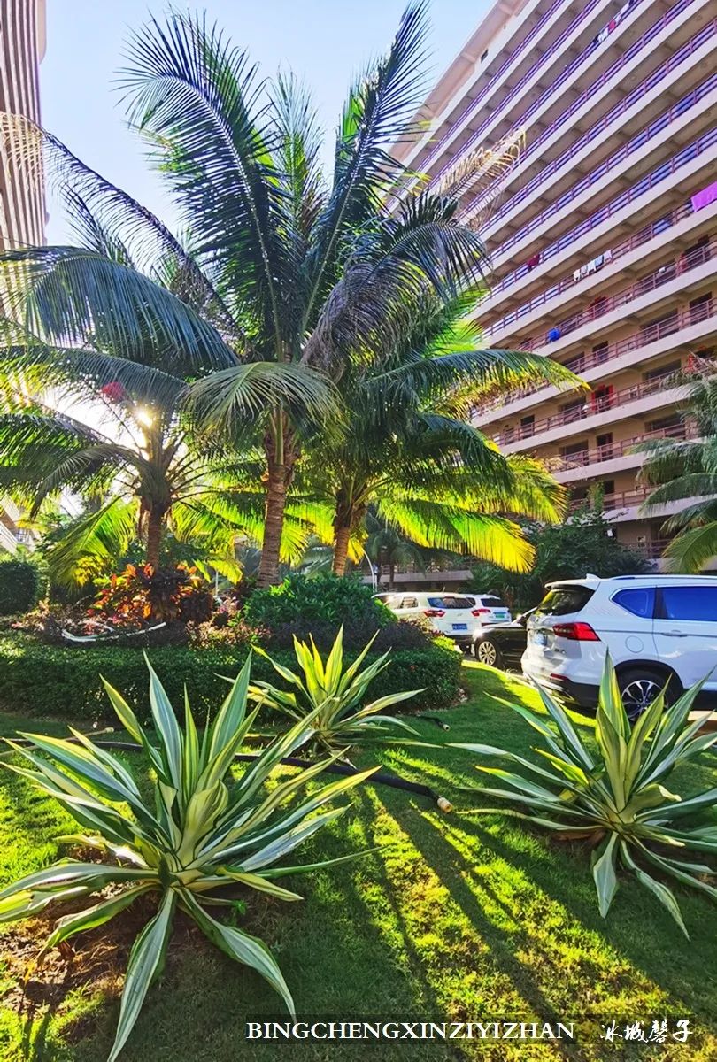 旅居海南,旅居式旅游生活海南