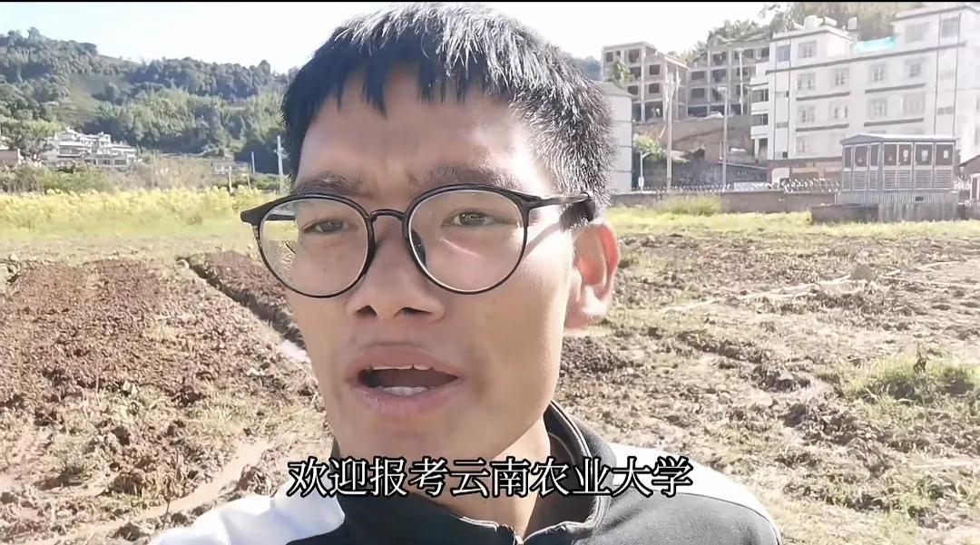 云南农大丁同学,云南农大丁同学最新消息