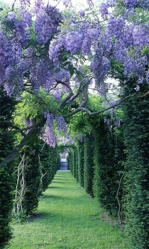 学习心理学，获益匪浅！——我自学心理学的几点重要感悟