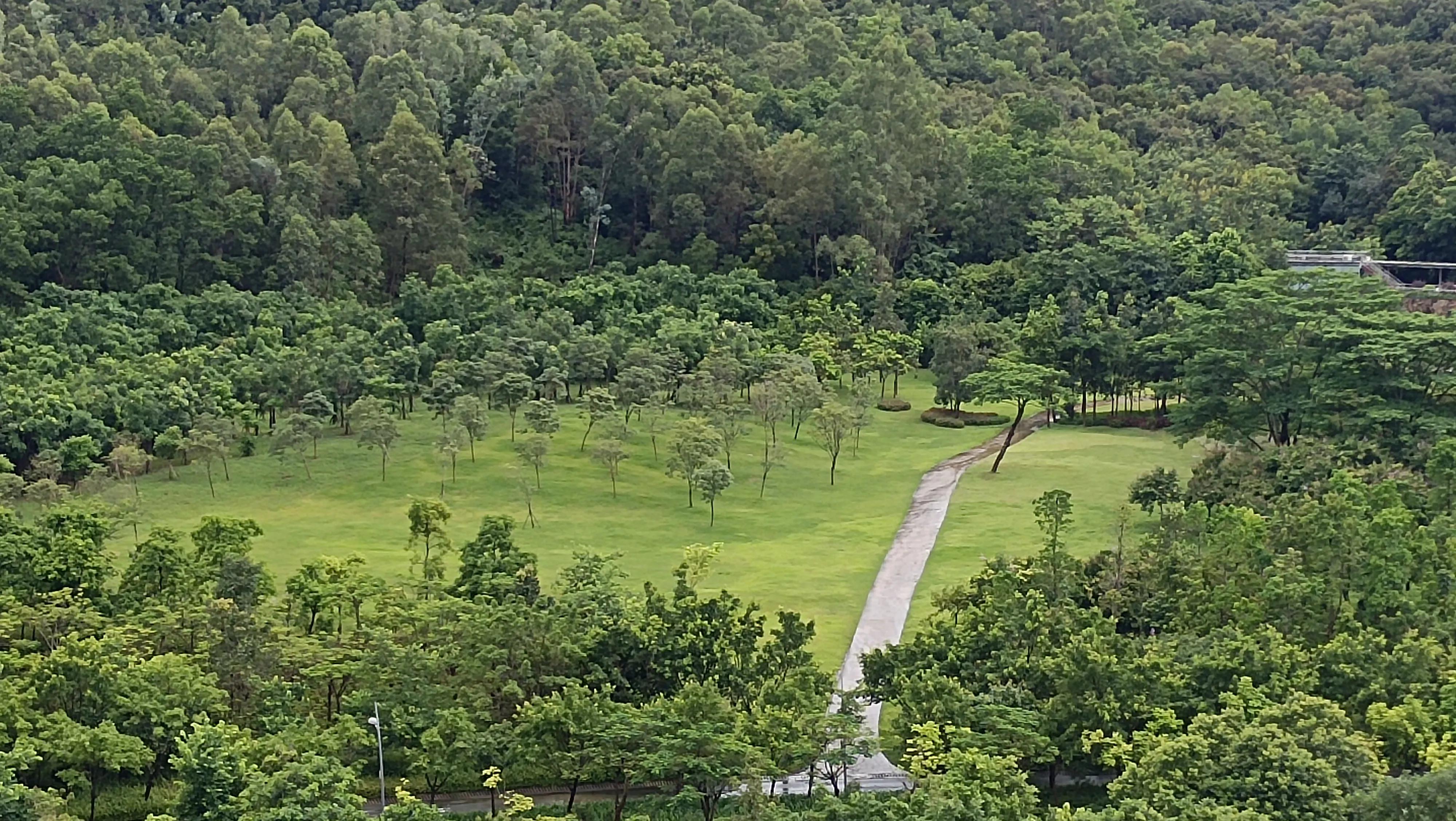 中医辨证尿频的方法,中医对尿频的辨证及治疗药方