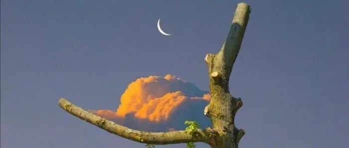 如何摆脱贫穷走向成功的六条路径,摆脱贫穷请改变你的穷人思维