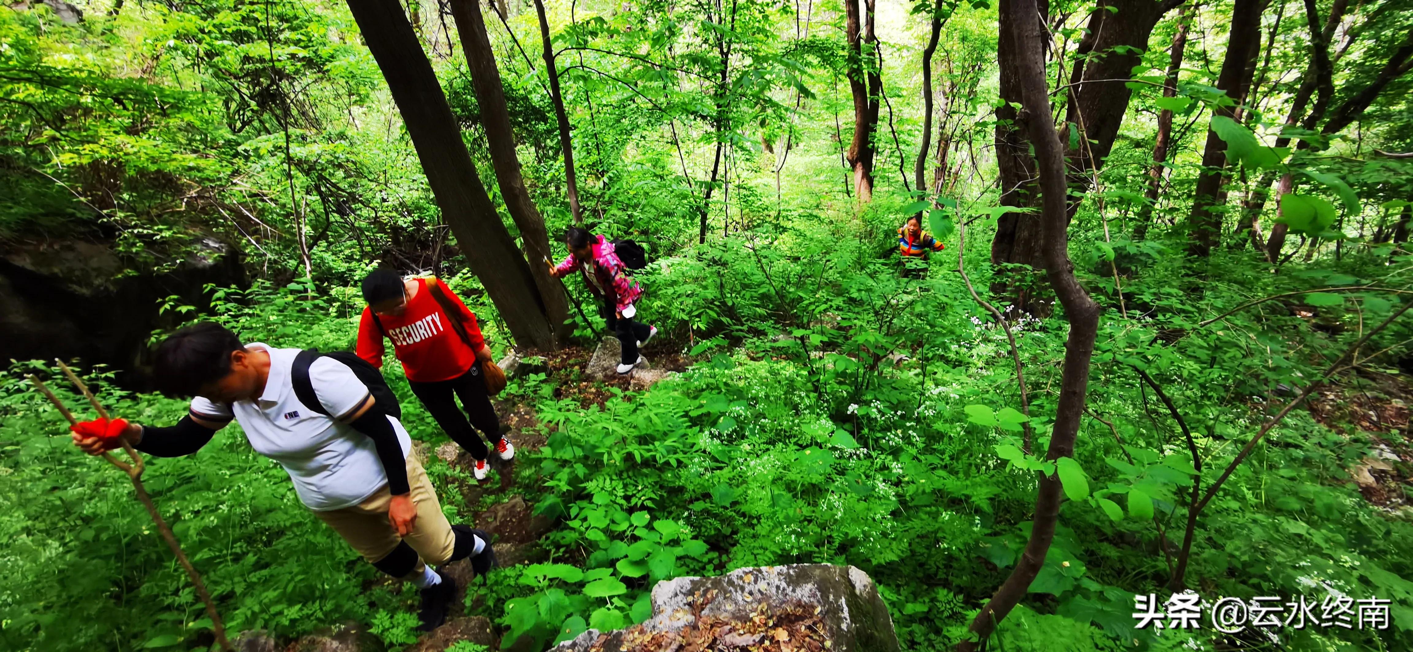 看值不值？登顶沣峪里这个曾经收费的景区，看九鼎万华详细攻略