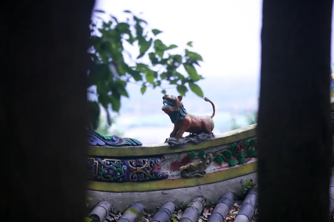 好评率99%！这个深得“特种兵”们青睐的小镇，深山觅静寺、秘境探幽意，私藏了整个夏日的色彩～