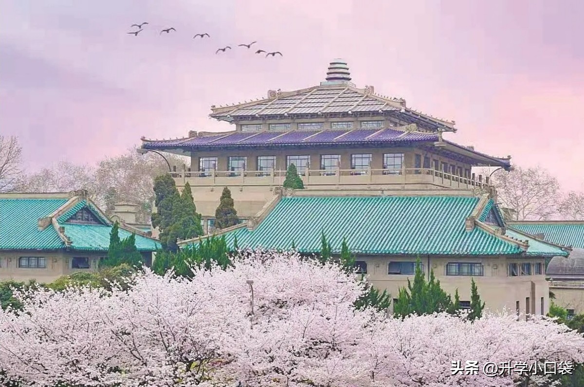 湖北最值得报考的15所大学,2021湖北各大学排名