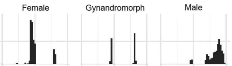 珍稀蝴蝶标本阴阳蝶,雌雄阴阳蝶图片