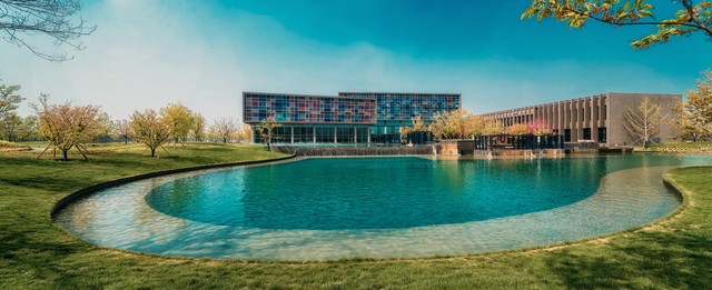 怎么快速适应新的工作环境,怎么才能让狗快速适应新环境