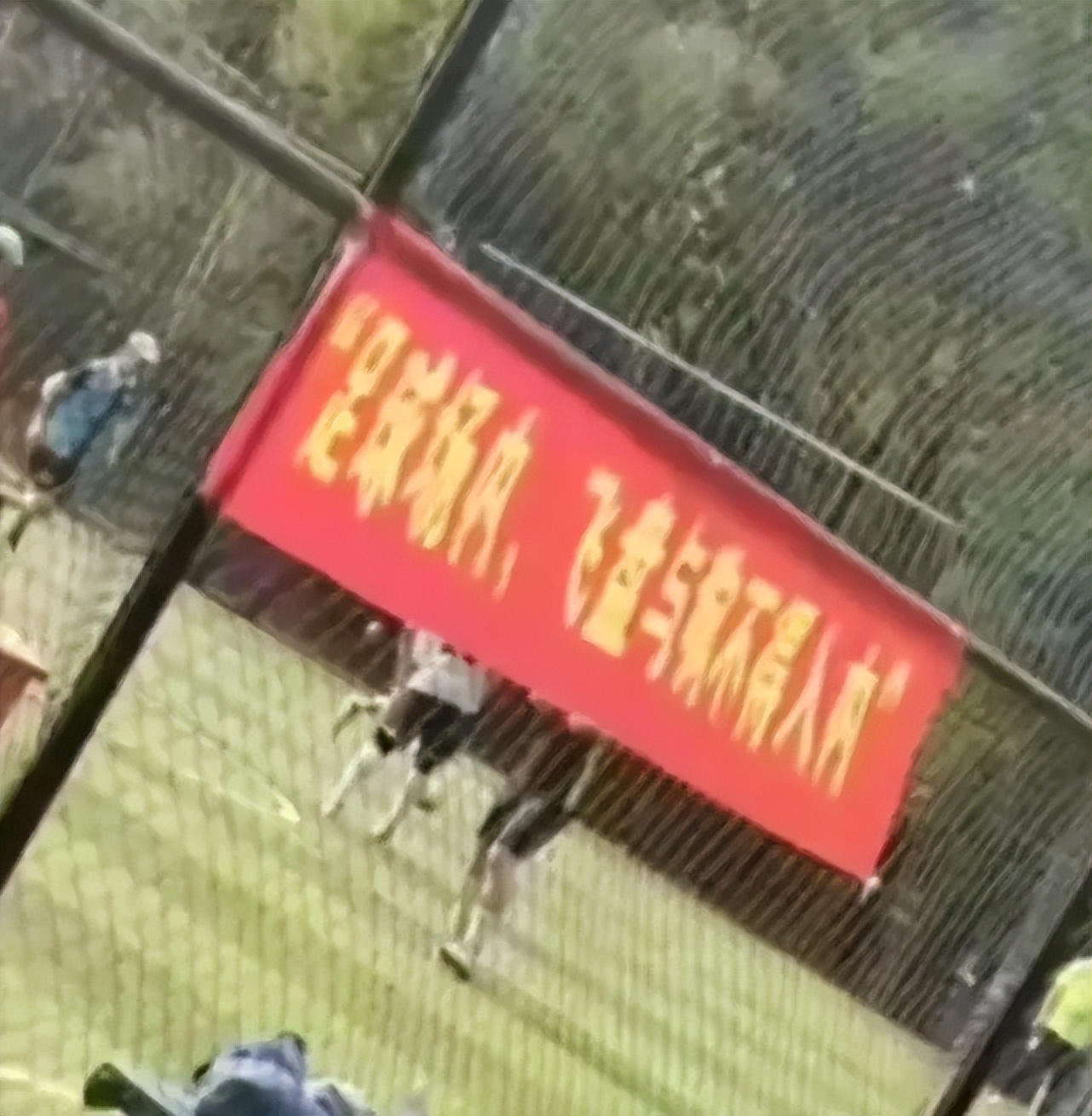 飞盘经营收益,飞盘火爆背后