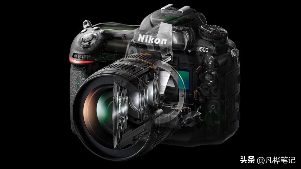 2023年单反相机与无反光镜相机：哪种相机格式最好，为什么？