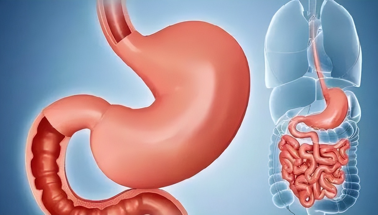 肠胃胀气一般什么原因引起的,肠胃胀气是怎么引起的