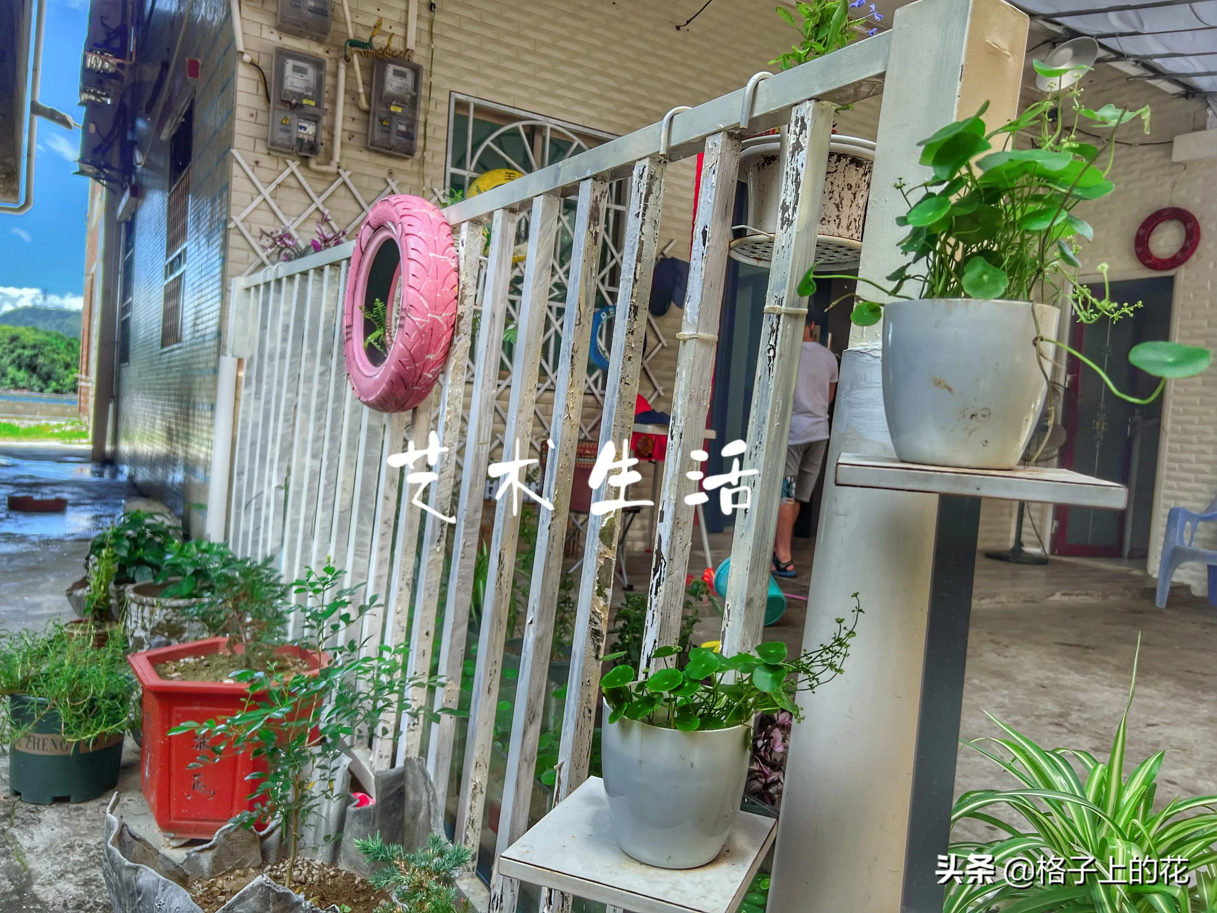 惠州怎么坐船出海旅游,惠州坐船上岛游玩攻略