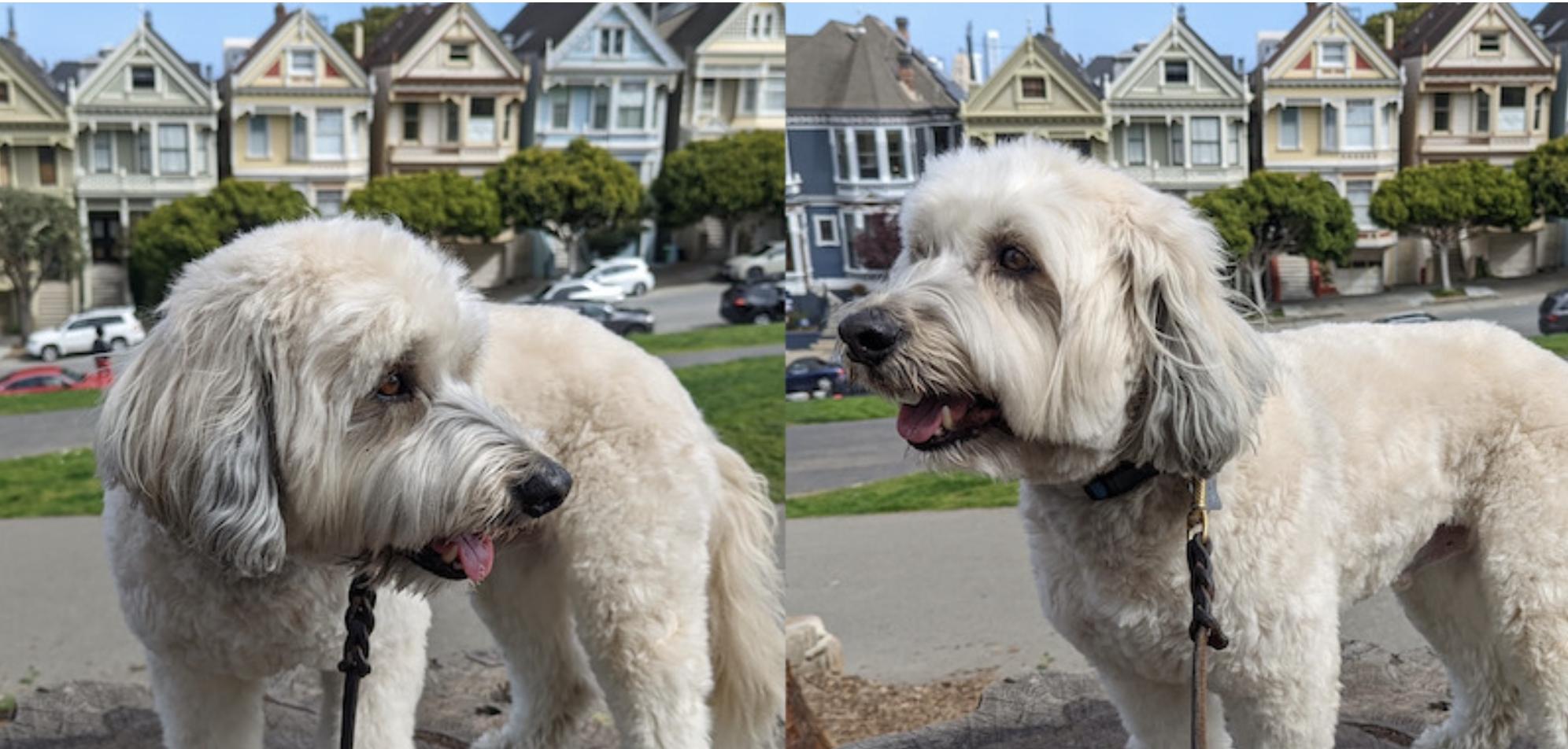 macos怎么截图,macos如何截图