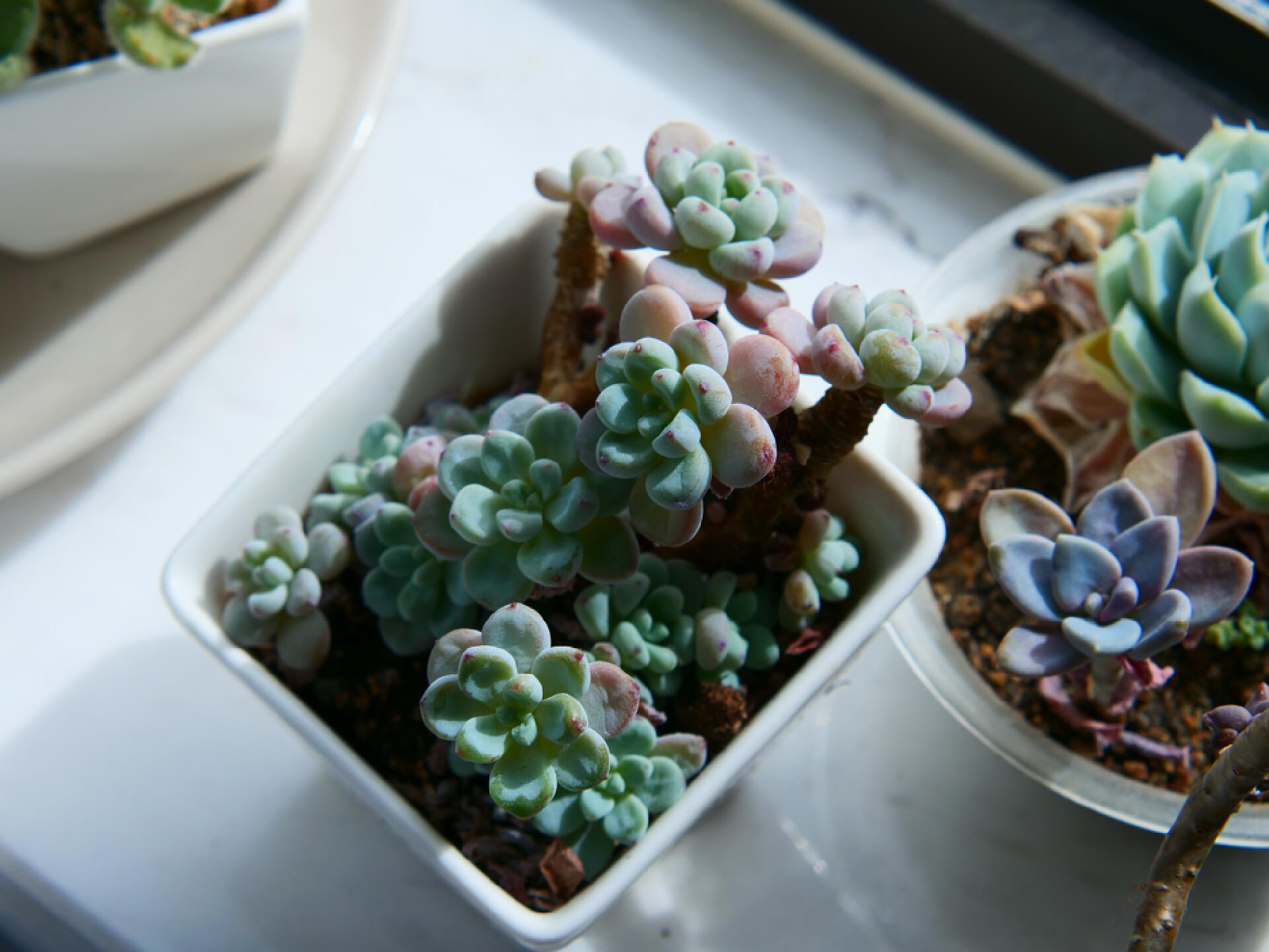 摄影小白如何挑选合适的摄影器材,拍照最好的摄影器材