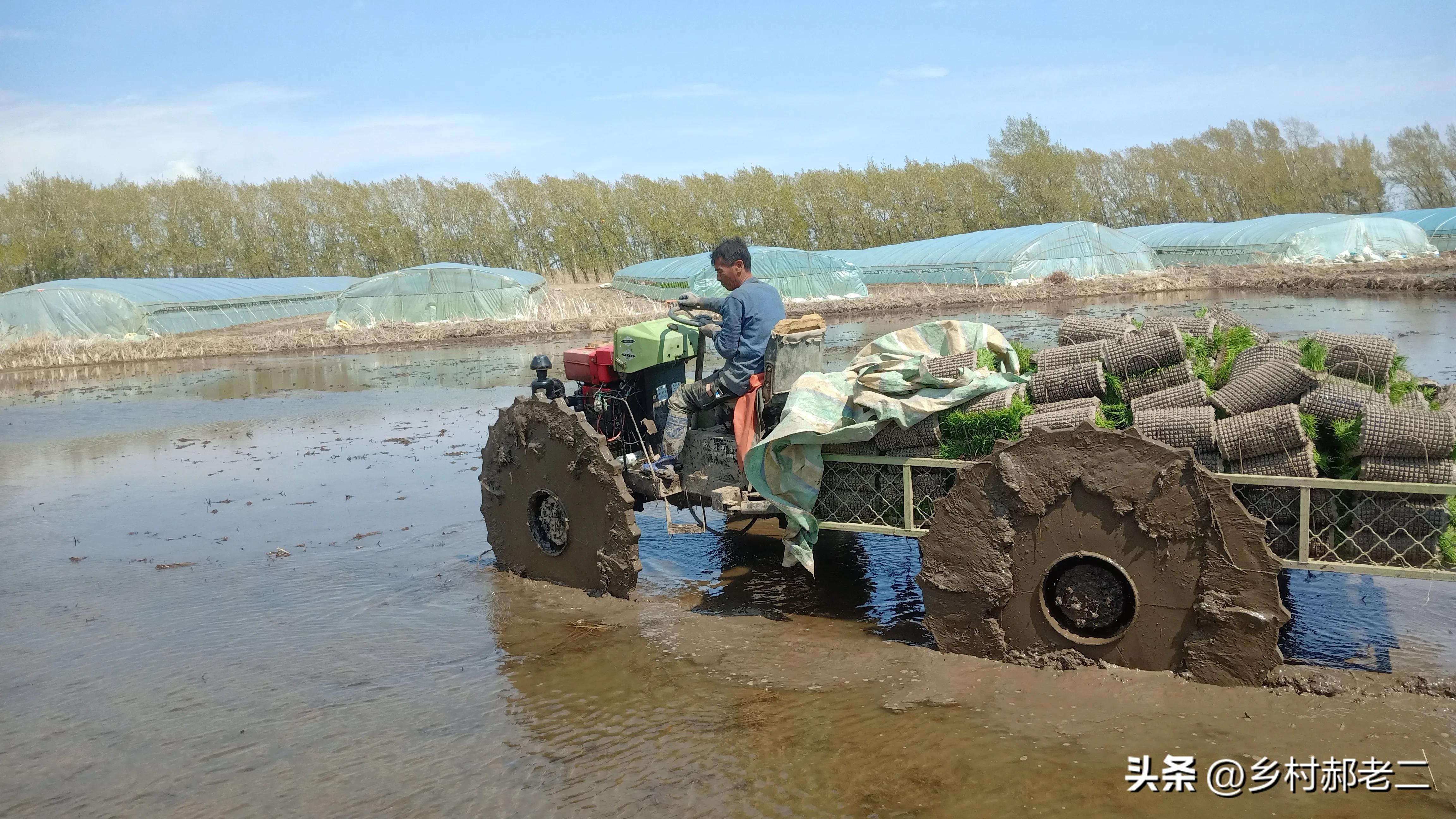 水堵漏了，单缸柴油机进水了，启动发动机会发生什么？