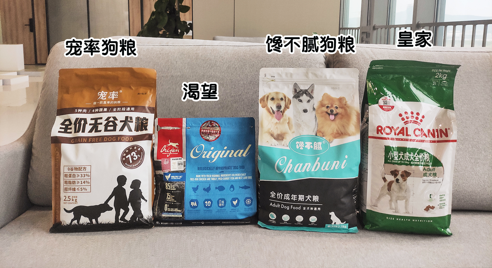 比熊狗狗流眼泪怎么回事,狗狗伤心会流眼泪吗