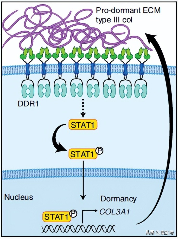 新的突破是什么,新的突破