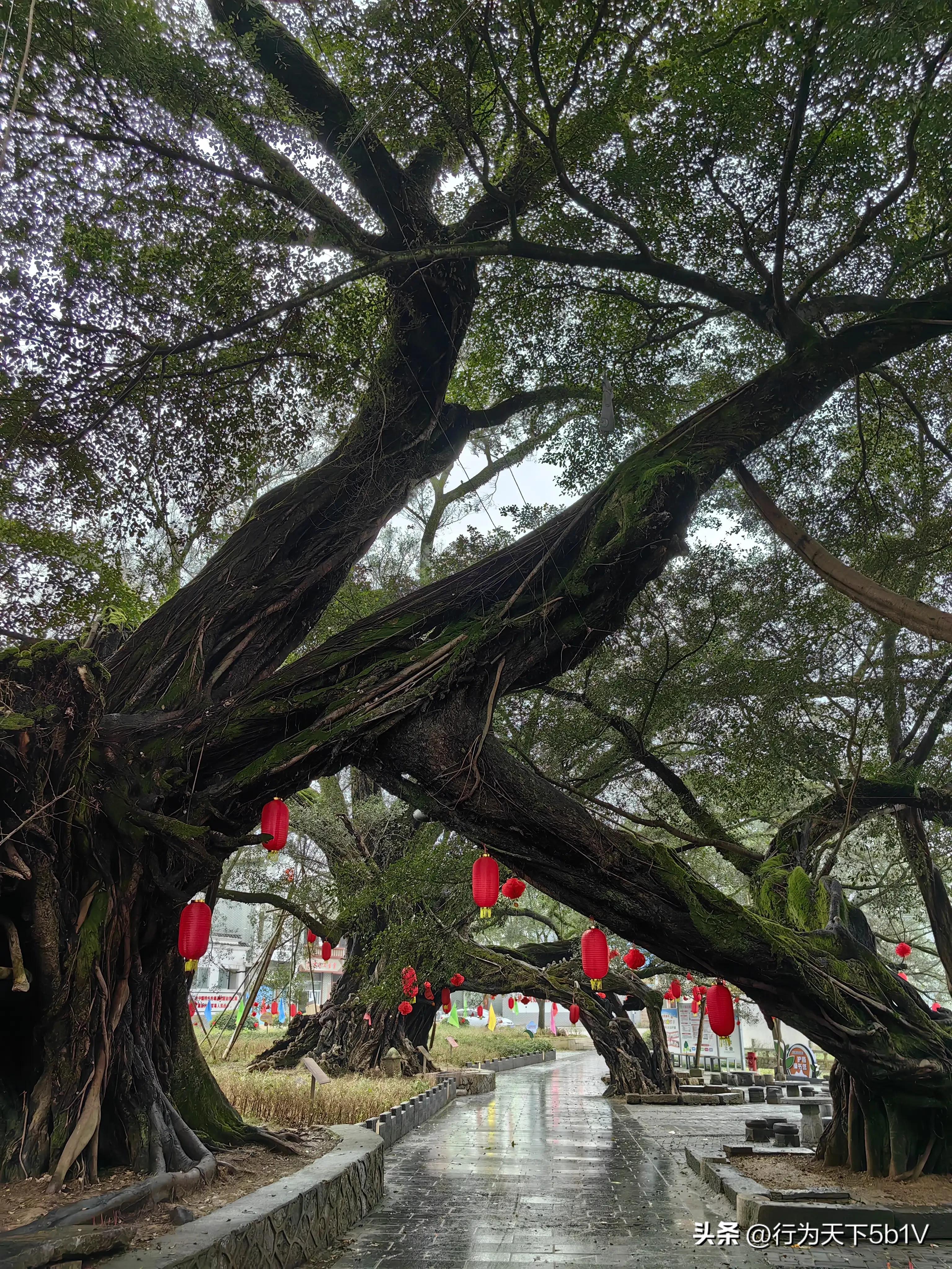 【平乐十里画廊鬼斧神工伟人石像】穿越唐*平宋**乐榕津千年古镇！